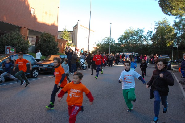 Maratonina di S.Alberto Magno (12/11/2016) 00020