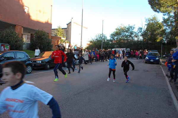 Maratonina di S.Alberto Magno (12/11/2016) 00021