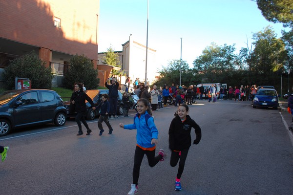 Maratonina di S.Alberto Magno (12/11/2016) 00022