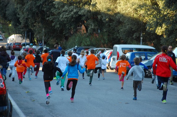 Maratonina di S.Alberto Magno (12/11/2016) 00024