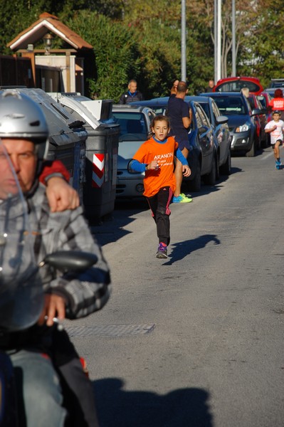 Maratonina di S.Alberto Magno (12/11/2016) 00026