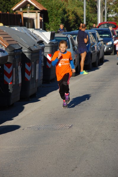Maratonina di S.Alberto Magno (12/11/2016) 00027