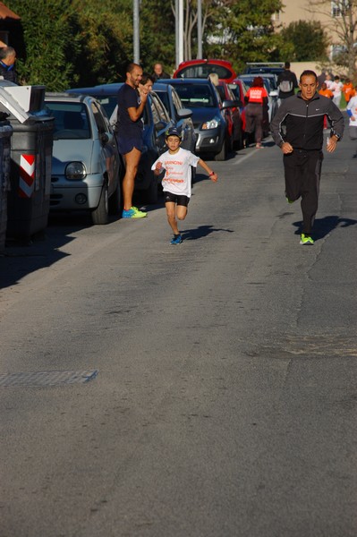 Maratonina di S.Alberto Magno (12/11/2016) 00031