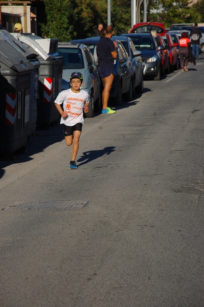 Maratonina di S.Alberto Magno (12/11/2016) 00034