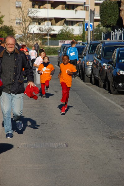 Maratonina di S.Alberto Magno (12/11/2016) 00037