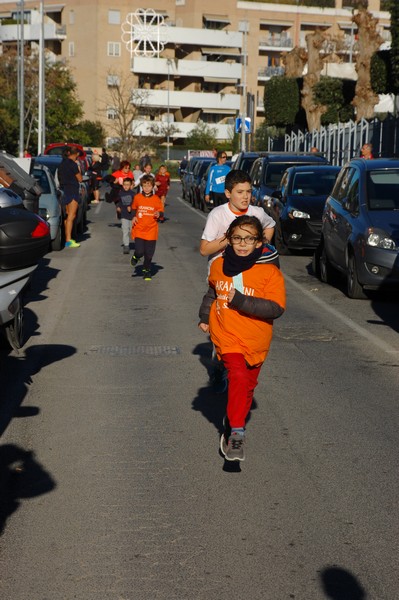 Maratonina di S.Alberto Magno (12/11/2016) 00039