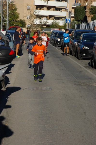 Maratonina di S.Alberto Magno (12/11/2016) 00042