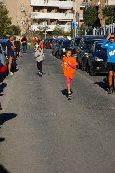 Maratonina di S.Alberto Magno (12/11/2016) 00057