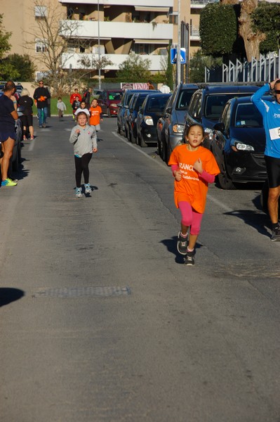 Maratonina di S.Alberto Magno (12/11/2016) 00058