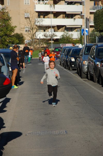 Maratonina di S.Alberto Magno (12/11/2016) 00060