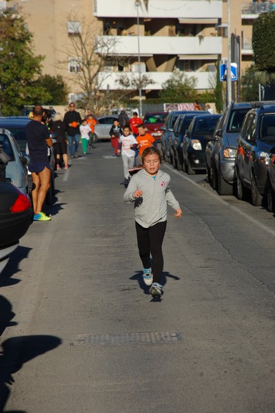 Maratonina di S.Alberto Magno (12/11/2016) 00061