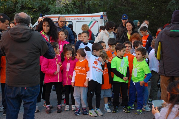 Maratonina di S.Alberto Magno (12/11/2016) 00001