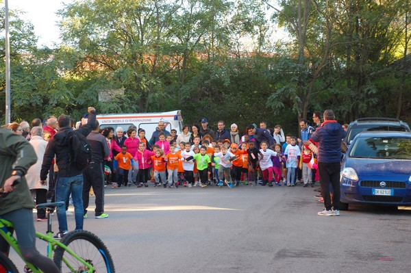 Maratonina di S.Alberto Magno (12/11/2016) 00002