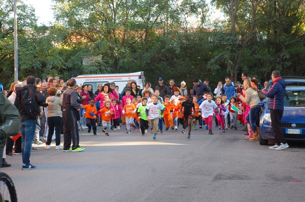 Maratonina di S.Alberto Magno (12/11/2016) 00003