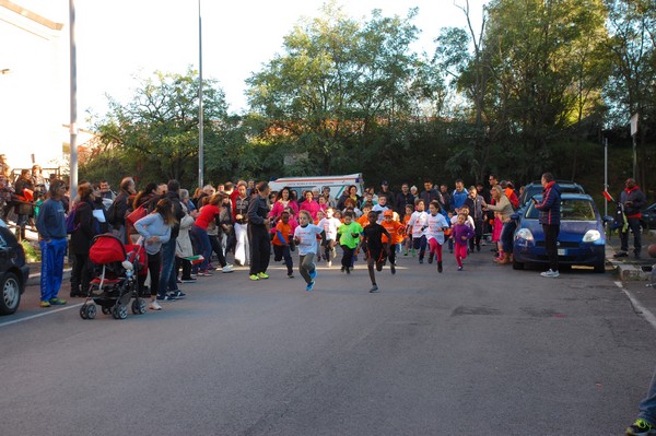 Maratonina di S.Alberto Magno (12/11/2016) 00004