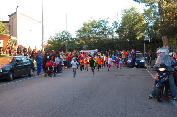 Maratonina di S.Alberto Magno (12/11/2016) 00005