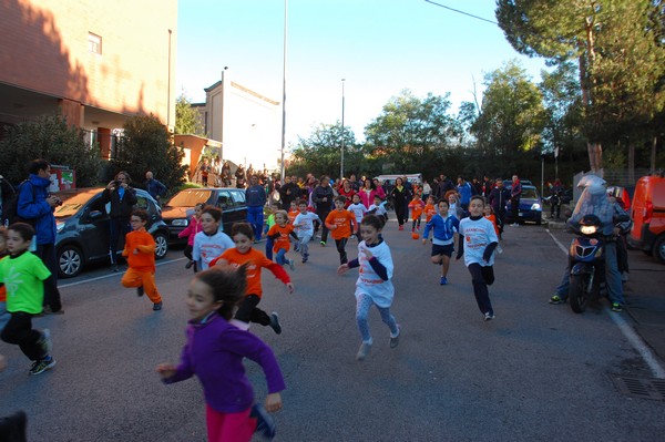 Maratonina di S.Alberto Magno (12/11/2016) 00010