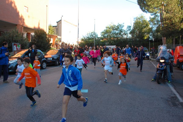 Maratonina di S.Alberto Magno (12/11/2016) 00012