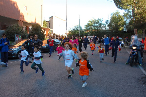 Maratonina di S.Alberto Magno (12/11/2016) 00013