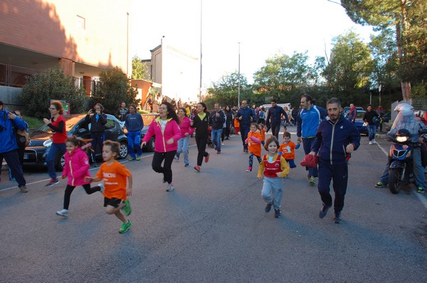Maratonina di S.Alberto Magno (12/11/2016) 00014