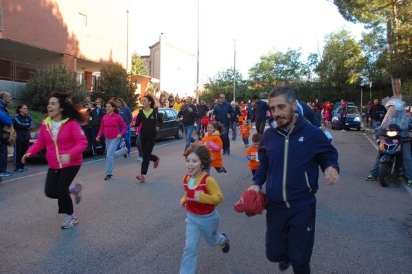 Maratonina di S.Alberto Magno (12/11/2016) 00015