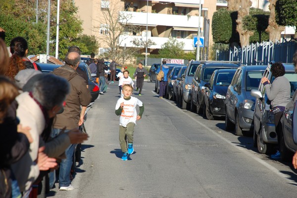Maratonina di S.Alberto Magno (12/11/2016) 00024