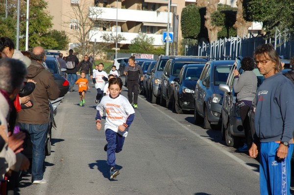 Maratonina di S.Alberto Magno (12/11/2016) 00034