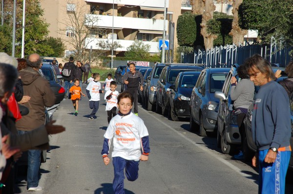 Maratonina di S.Alberto Magno (12/11/2016) 00035
