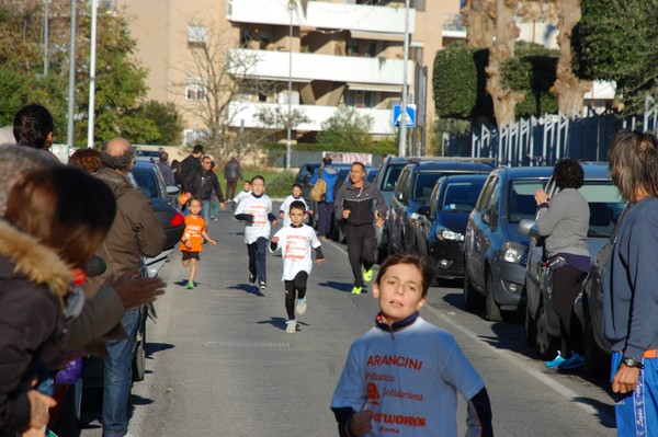 Maratonina di S.Alberto Magno (12/11/2016) 00037