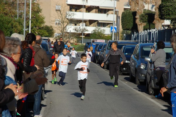 Maratonina di S.Alberto Magno (12/11/2016) 00040