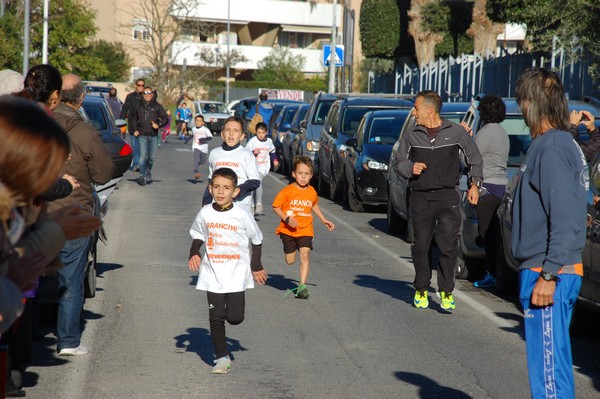 Maratonina di S.Alberto Magno (12/11/2016) 00043