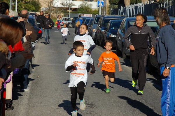 Maratonina di S.Alberto Magno (12/11/2016) 00045
