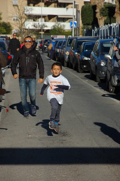 Maratonina di S.Alberto Magno (12/11/2016) 00059
