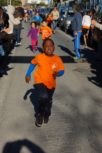 Maratonina di S.Alberto Magno (12/11/2016) 00069