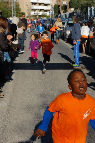 Maratonina di S.Alberto Magno (12/11/2016) 00070