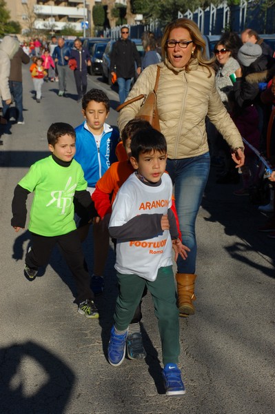 Maratonina di S.Alberto Magno (12/11/2016) 00080