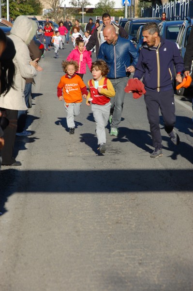Maratonina di S.Alberto Magno (12/11/2016) 00083