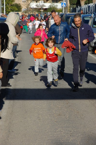Maratonina di S.Alberto Magno (12/11/2016) 00084