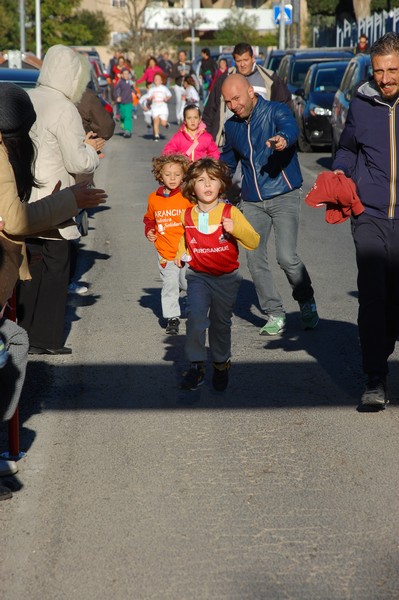 Maratonina di S.Alberto Magno (12/11/2016) 00085