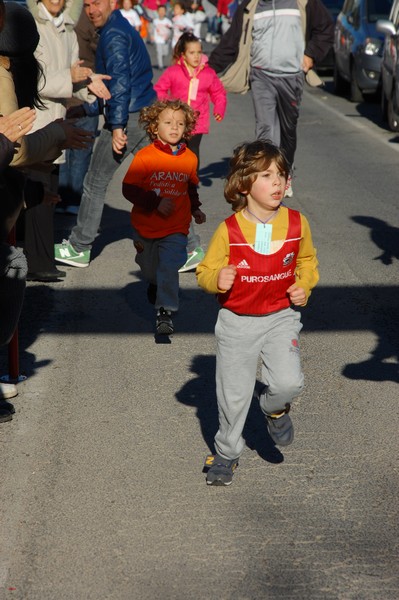 Maratonina di S.Alberto Magno (12/11/2016) 00087