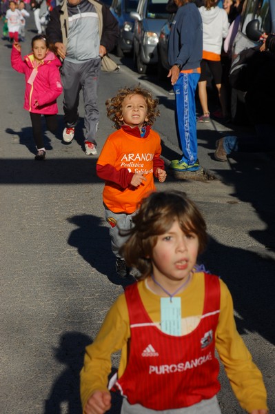 Maratonina di S.Alberto Magno (12/11/2016) 00090