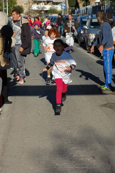Maratonina di S.Alberto Magno (12/11/2016) 00099