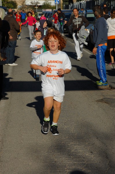Maratonina di S.Alberto Magno (12/11/2016) 00102