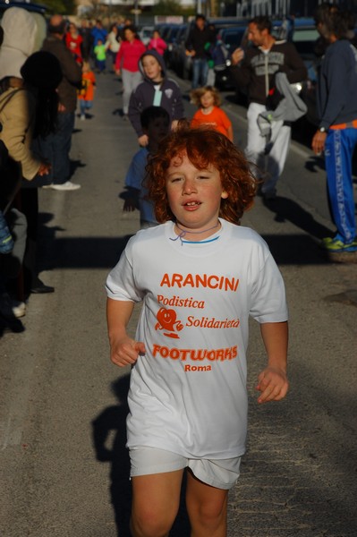Maratonina di S.Alberto Magno (12/11/2016) 00104