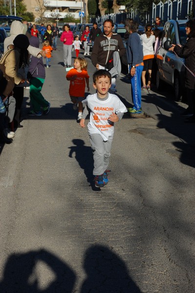 Maratonina di S.Alberto Magno (12/11/2016) 00106