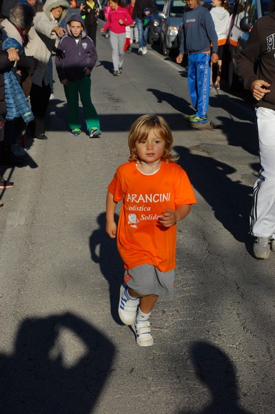 Maratonina di S.Alberto Magno (12/11/2016) 00110