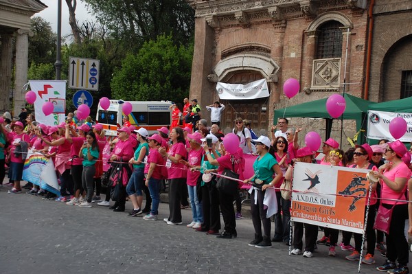 Race For The Cure (TOP) (15/05/2016) 00045