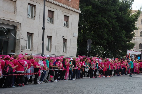 Race For The Cure (TOP) (15/05/2016) 00071