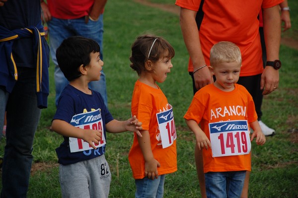 Trofeo Podistica Solidarietà (TOP,CE) (18/09/2016) 00035