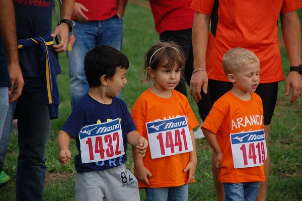Trofeo Podistica Solidarietà (TOP,CE) (18/09/2016) 00036